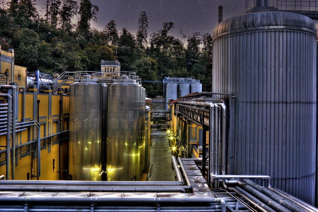 Exploring the Impact of Fermentation in Organic Waste Management